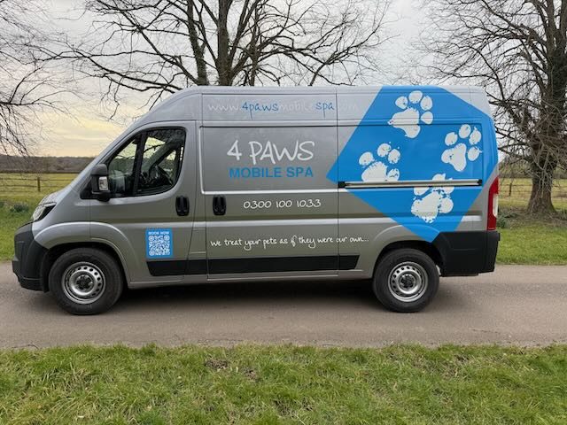 Front three-quarter view of one of our latest vans